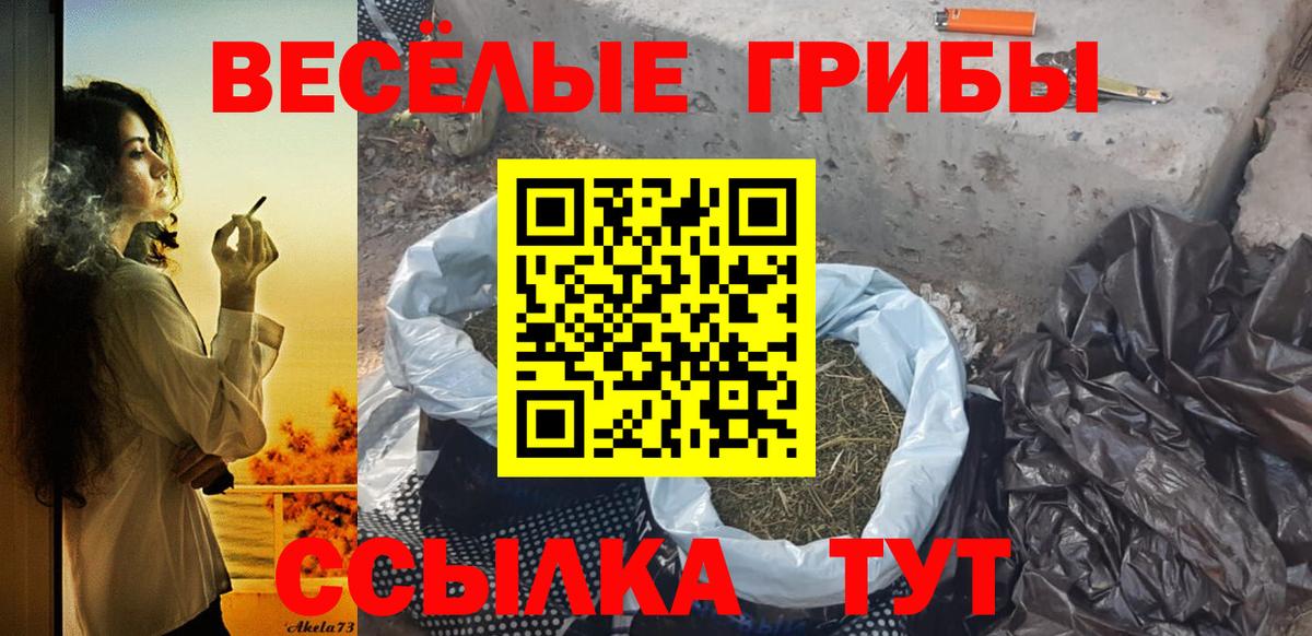 Псилоцибиновые грибы ЛСД  Вход с VPN  где найти наркотики  Альметьевск 